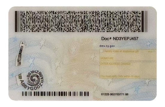 New York Dirvers Licence (2025 Version)