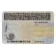 New York Dirvers Licence (2025 Version)