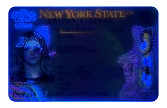 New York Dirvers Licence (2025 Version)