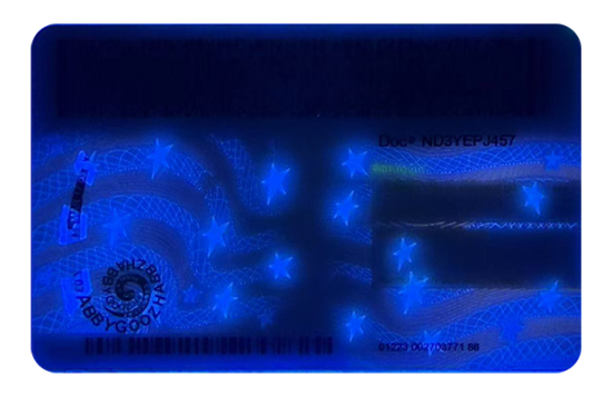 New York Dirvers Licence (2025 Version)