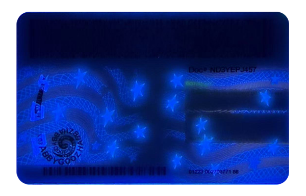 New York Dirvers Licence (2025 Version)