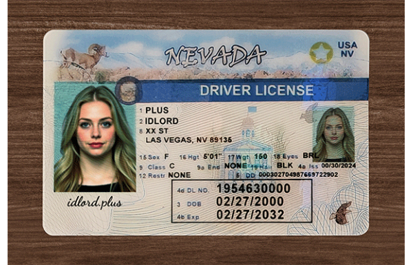 Nevada Dirvers Licence