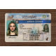 Nevada Fake id front side