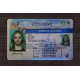 Nevada Fake id front side