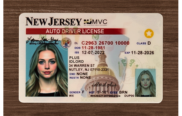 New Jersey Dirvers Licence
