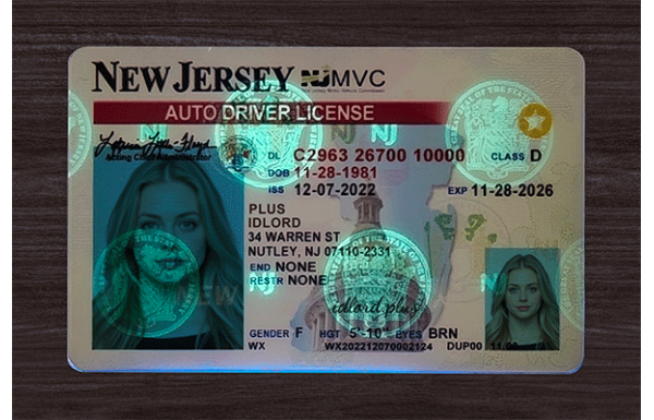 New Jersey Dirvers Licence