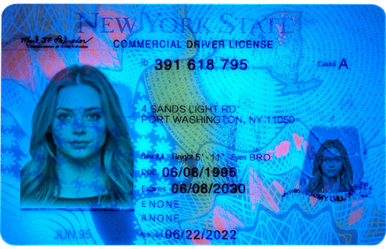 New York CDL