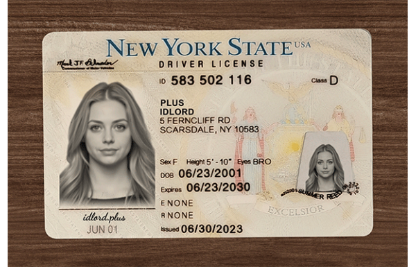 New York Fake Dirvers Licence