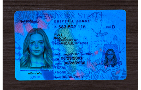 New York Fake Dirvers Licence
