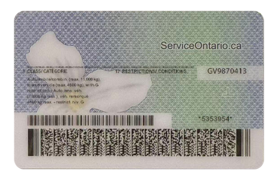 Ontario Fake id front side