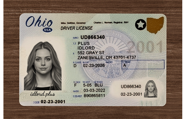 Ohio Dirvers Licence