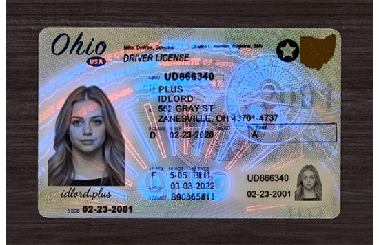 Ohio Fake id front side