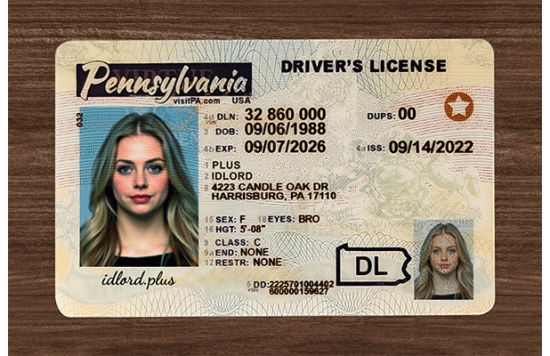 Pennsylvania Fake id front side