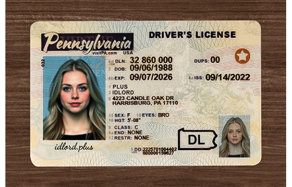 Pennsylvania Dirvers Licence