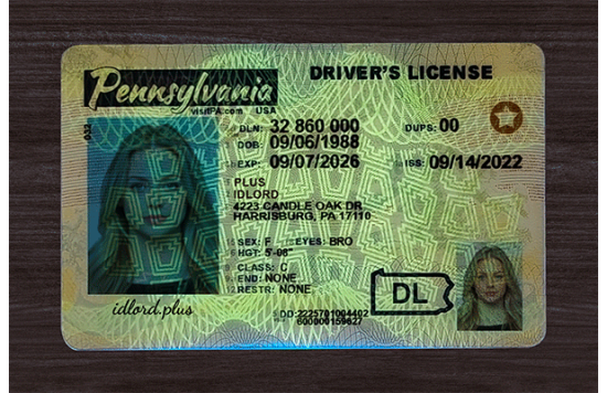 Pennsylvania Fake id front side