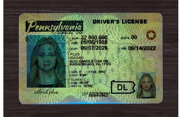 Pennsylvania Dirvers Licence