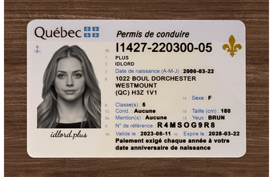 Quebec Fake id front side