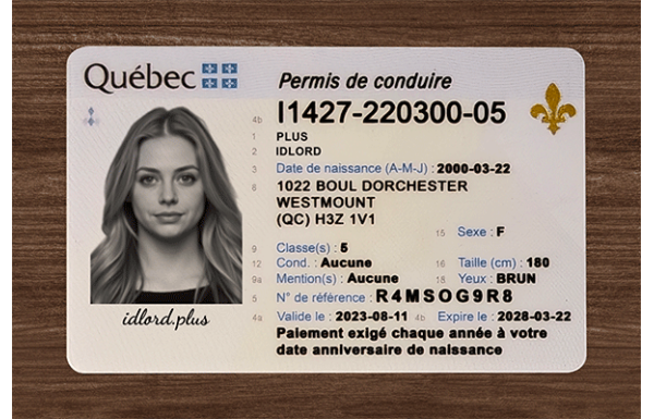 Quebec Fake Dirvers Licence