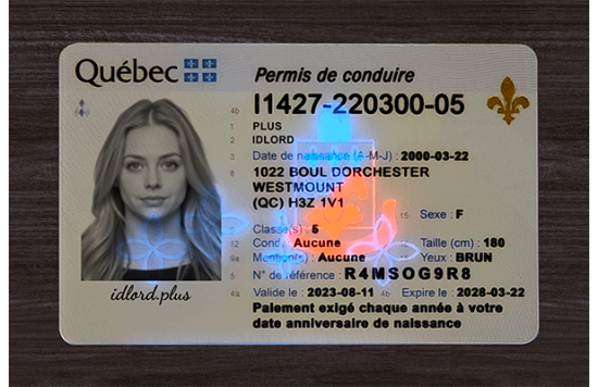 Quebec Fake id front side