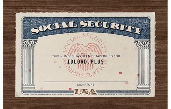 SSN Card
