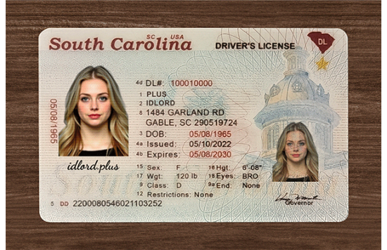 South Carolina Fake id front side