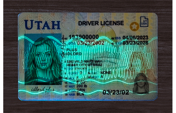 Utah Dirvers Licence