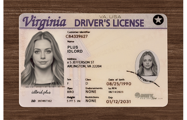Virginia Dirvers Licence