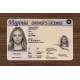 Virginia Fake id front side