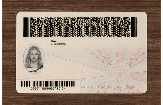 Virginia Fake id front side