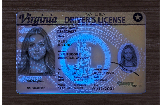 Virginia Fake id front side