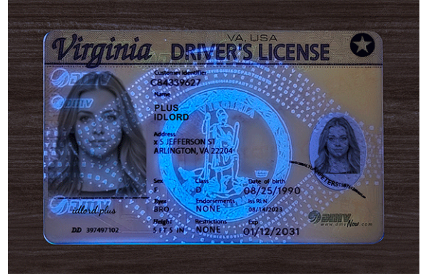 Virginia Dirvers Licence