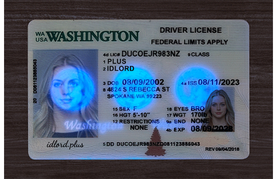 Washington Fake id front side