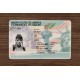 Green Card Fake id front side